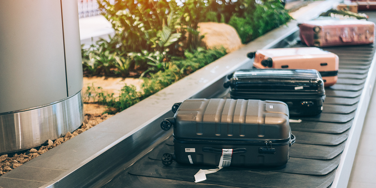 weightless trolley bag