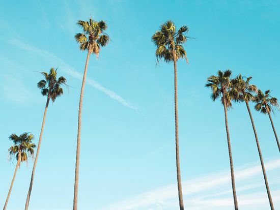 The Essential Los Angeles Packing List: Beach, Shopping | What to Pack